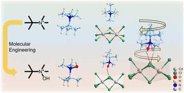 Graphical abstract: Ferroelectricity in perovskites realized by a switchable skewed conformation