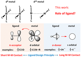 Graphical abstract: Ligand-modulated metallophilicity: influence of π-acceptor and σ-donor strength
