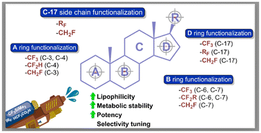 Graphical abstract: Fluoroalkylation of steroid derivatives: synthetic strategies, mechanistic trends, and pharmacological perspectives