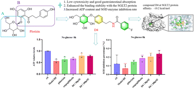 Graphical abstract: Synthesis of SGLT2 inhibitor O-glucoside derivatives for enhancing anti-heart failure activity
