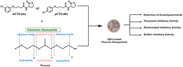 Graphical abstract: Development and evaluation of new nanoformulated thiolactone derivatives for enhanced disruption of pseudomonal biofilms