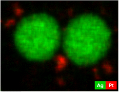 Graphical abstract: Enhanced dissolution of silver nanoparticles (10 nm) in the presence of platinum nanoparticles (3 nm) causes increased cytotoxicity: mechanistic insight via transmission electron microscopy and X-ray powder diffraction