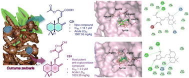 Graphical abstract: Isolation, structural elucidation, and integrated biological and computational evaluation of antidiabetic labdane diterpenes from Curcuma zedoaria rhizomes