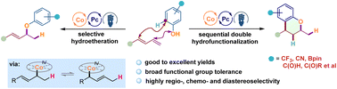 Graphical abstract: A photo- and cobalt-catalyzed highly selective and divergent hydrofunctionalization of 1,3-dienes with phenols