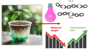 Graphical abstract: Mechanical, barrier, and photodegradation properties of biodegradable PLA-based blend films