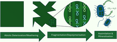 Graphical abstract: Beyond the guidelines: rethinking OECD biodegradability testing for polymers in liquid formulations