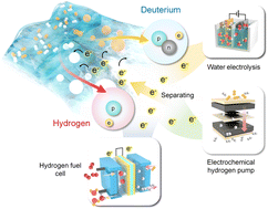 Graphical abstract: Electrochemical H/D isotope separation