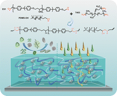 Graphical abstract: Construction of a photothermal self-healing epoxy coating with anti-fouling and anti-corrosion functions inspired by the hierarchical surface morphology of starfish