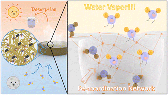 Graphical abstract: Harnessing metal–ligand complex and photothermal conversion in hydrogels for advanced atmospheric water harvesting
