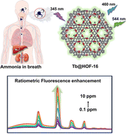 Graphical abstract: Lanthanide ion-sensitized hydrogen-bonded organic framework as a fluorescent sensing platform for ultra-low concentration breath ammonia detection