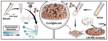 Graphical abstract: Dual model biosensor integrated with peroxidase-like activity and self-assembly for uric acid detection