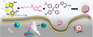 Graphical abstract: ONOO− generator constructed with a small molecule photosensitizer and photoinduced NO donor for tumor therapy