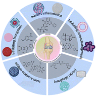 Graphical abstract: Recent advances in natural product-based drug delivery systems for the treatment of osteoarthritis