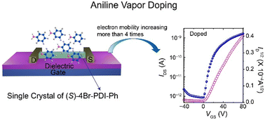 Graphical abstract: Enhancing optoelectronic performance of organic phototransistors through surface doping of tetra-bromo perylene diimide single crystals