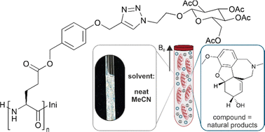 Graphical abstract: Sweet side chain: a glycopeptide-based alignment medium to measure residual dipolar couplings in neat acetonitrile