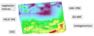 Graphical abstract: Use of environmental forensics to assess land sustainability: a case study on a former coal mining site