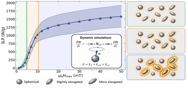 Graphical abstract: Tuning field amplitude to minimise heat-loss variability in magnetic hyperthermia