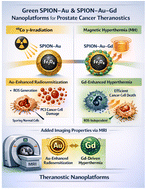 Graphical abstract: Integrating green chemistry into SPION development: a theranostic study on prostate cell models
