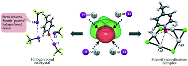 Graphical abstract: Tridentate C–I⋯O−–N+ halogen bonds