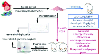 Graphical abstract: Freeze-dried strawberry and blueberry attenuates diet-induced obesity and insulin resistance in rats by inhibiting adipogenesis and lipogenesis