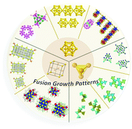 Graphical abstract: Fusion growth patterns in atomically precise metal nanoclusters