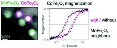 Graphical abstract: Bad neighbour, good neighbour: how magnetic dipole interactions between soft and hard ferrimagnetic nanoparticles affect macroscopic magnetic properties in ferrofluids