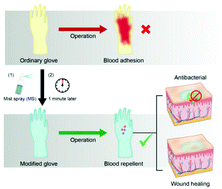 Graphical abstract: Medical gloves modified by a one-minute spraying process with blood-repellent, antibacterial and wound-healing abilities