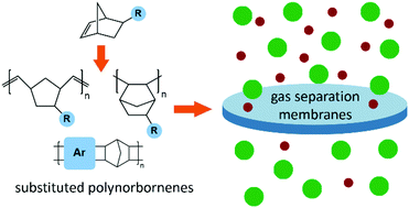 Graphical abstract: Substituted polynorbornene membranes: a modular template for targeted gas separations