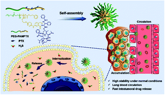 Graphical abstract: Hydrogen sulfide-activatable prodrug-backboned block copolymer micelles for delivery of chemotherapeutics