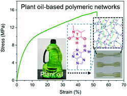 Graphical abstract: Enhancing and toughening plant oil-based polymeric materials through synergetic supramolecular and covalent interactions by introducing nucleobase-functionalized celluloses