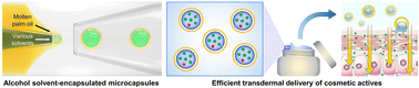 Graphical abstract: Microencapsulation of alcohol solvents and high-content actives for efficient transdermal delivery