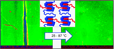 Graphical abstract: A self-repairing, supramolecular polymer system: healability as a consequence of donor–acceptor π–π stacking interactions