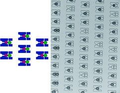 Graphical abstract: A double droplet trap system for studying mass transport across a droplet-droplet interface