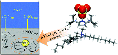Graphical abstract: Supramolecular organization of calix[4]pyrrole with a methyl-trialkylammonium anion exchanger leads to remarkable reversal of selectivity for sulfate extractionvs.nitrate