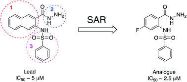 Graphical abstract: Synthesis and structure–activity relationships of o-sulfonamido-arylhydrazides as inhibitors of ll-diaminopimelate aminotransferase (ll-DAP-AT)