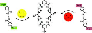 Graphical abstract: Substituent effects on axle binding in amide pseudorotaxanes: comparison of NMR titration and ITC data with DFT calculations