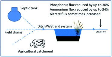 Graphical abstract: Reduced nutrient pollution in a rural stream following septic tank upgrade and installation of runoff retention measures