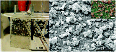 Graphical abstract: A heterogeneous water oxidation catalyst from dicobalt octacarbonyl and 1,2-bis(diphenylphosphino)ethane