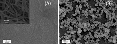 Graphical abstract: In situ electrochemical synthesis of Ni-capped electrochemiluminescence nanoprobe for ultrasensitive detection of cancer cells