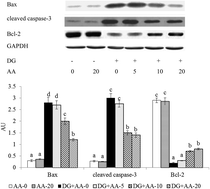 Graphical abstract: Anti-apoptotic and anti-glycative effects of asiatic acid in the brain of d-galactose treated mice