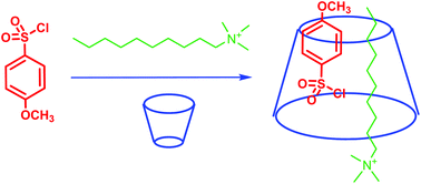 Graphical abstract: γ-Cyclodextrin modulates the chemical reactivity by multiple complexation