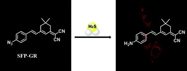 Graphical abstract: Imaging of living cells and zebrafish in vivo using a ratiometric fluorescent probe for hydrogen sulfide