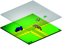 Graphical abstract: Ion manipulations in structures for lossless ion manipulations (SLIM): computational evaluation of a 90° turn and a switch