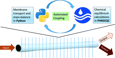 Graphical abstract: Acid–base dynamics in seawater reverse osmosis: experimental evaluation of a reactive transport algorithm