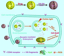 Graphical abstract: A graphitic hollow carbon nitride nanosphere as a novel photochemical internalization agent for targeted and stimuli-responsive cancer therapy