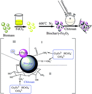 Graphical abstract: Chitosan modification of magnetic biochar produced from Eichhornia crassipes for enhanced sorption of Cr(vi) from aqueous solution