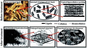 Graphical abstract: Synthesis of a functionalized fibrous adsorbent of high uptake capacity: a study on Pb(ii) uptake and simple acidic site model development