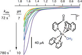 Graphical abstract: Rapid water oxidation electrocatalysis by a ruthenium complex of the tripodal ligand tris(2-pyridyl)phosphine oxide