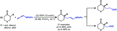 Graphical abstract: Asymmetric addition of α-branched cyclic ketones to allenamides catalyzed by a chiral phosphoric acid