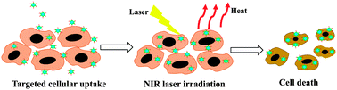 Graphical abstract: Facile preparation of albumin-stabilized gold nanostars for the targeted photothermal ablation of cancer cells